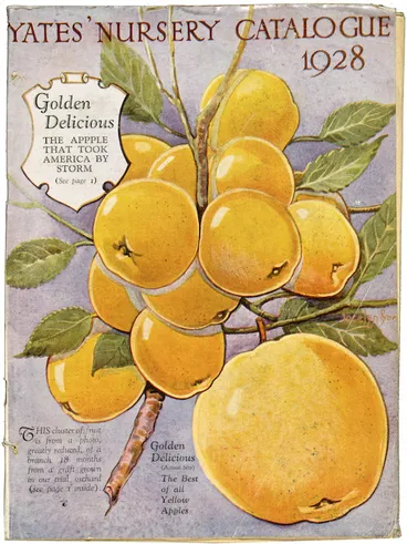 Image: Arthur Yates & Co. Ltd, Auckland :Yates' nursery catalogue 1928 [Cover]. Auckland, Arthur Yates & Co., [1928].