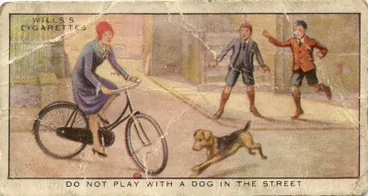 Do not play with a dog in the street Image: Do not play with a dog in the street