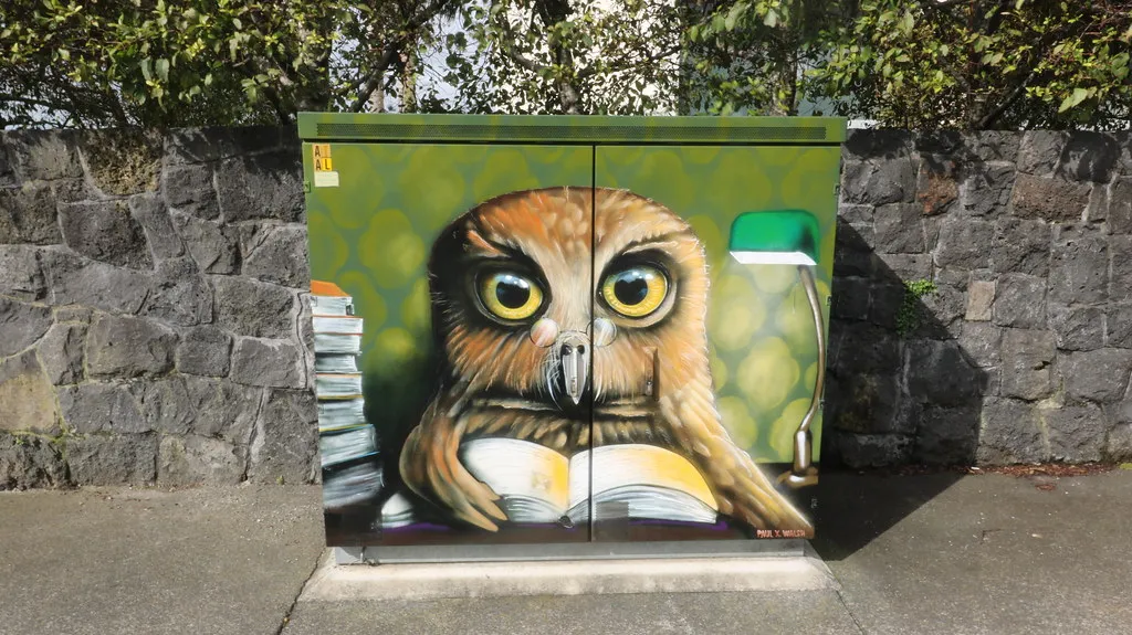 "Morepork at the Parnell Library"