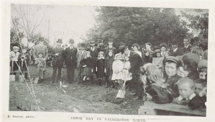 Arbor day in Palmerston North