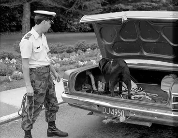 Image: JSPRO38-R2-7-85