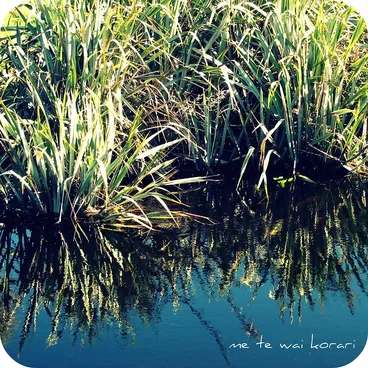 Image: As sweet as the honey of the flax