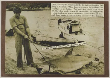 Gus Viskovich and a shark on Point Chevalier Beach. Image: Gus Viskovich and a shark on Point Chevalier Beach.