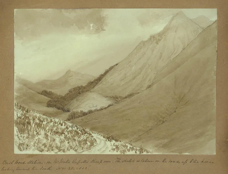 Painting: Birchwood station on Mr Watts Russell's sheep run