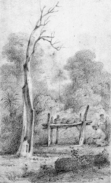 Image: Swainson, William, 1789-1855 :Seed potatoes, Hutt Forest. [1840s or early 1850s]