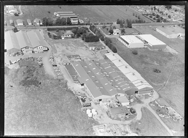 Image: House of York Wallpapers, Levin, Horowhenua District