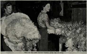 Image: Scenes from a cattle and sheep farm on Great Mercury Island seven miles off the coast of the Coromandel Peninsula