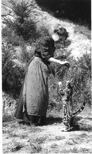 Mr Thorley's Mother Image: Mr Thorley's Mother