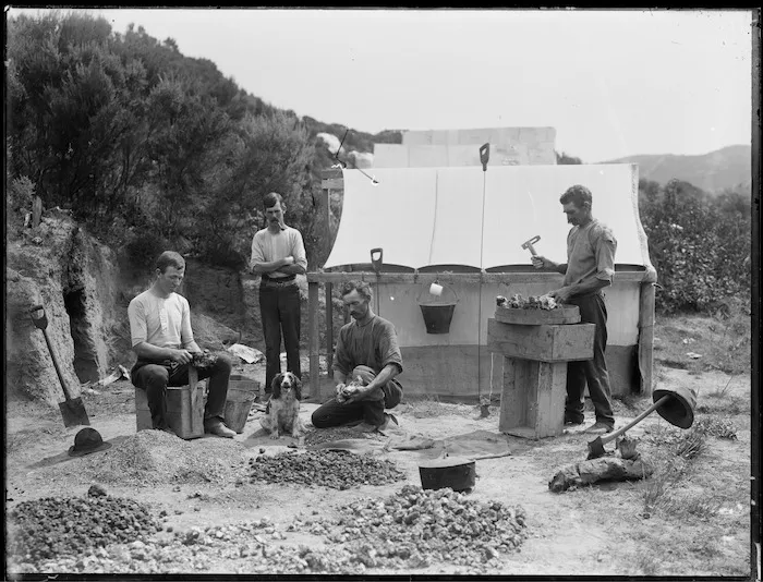 Kauri gum diggers camp at Waipapakauri