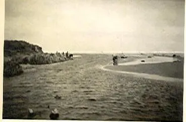 Image: Hokio Stream at Hokio Beach