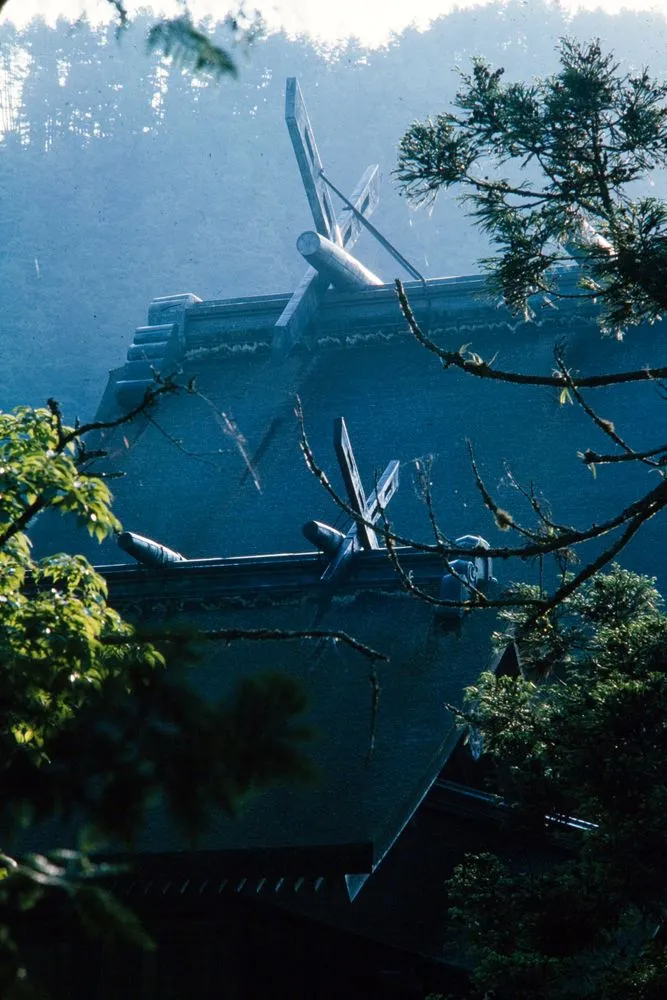 Japan Series: Izumo Shrine