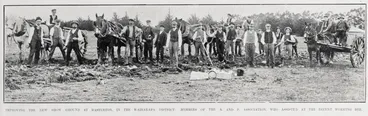 Image: IMPROVING THE NEW SHOW GROUND AT MASTERTON, IN THE WAIRARAPA DISTRICT: MEMBERS OF THE A. AND P. ASSOCIATION. WHO ASSISTED AT THE RECENT WORKING BEE