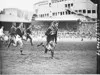 Kangaroos versus Kiwis in the Rugby League 1st test 1963, Sydney Cricket Ground