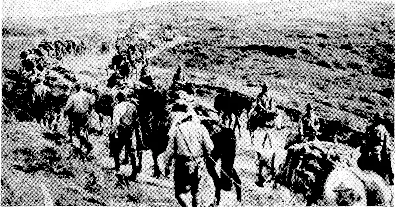 Sport and General" Photo, 'fap(t7ves&"tWOfps^making{<b'Wide^encircling movement to capture a'Chinese army hiding:in- the Tahung" ■sßimjßangei.'in-lthe northern,portion ofHupeh Province. This column.?of Japanese' transport, is- making its < way .along a ■ mountain track- (Evening Post, 12 July 1939)