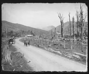 Image: Pakuratahi Valley, looking North, Wellington and Masterton Road, NZ