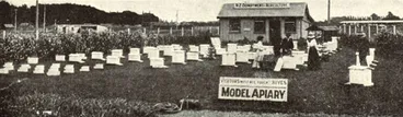 Image: Model apiary, Christchurch International Exhibition, 1906–7