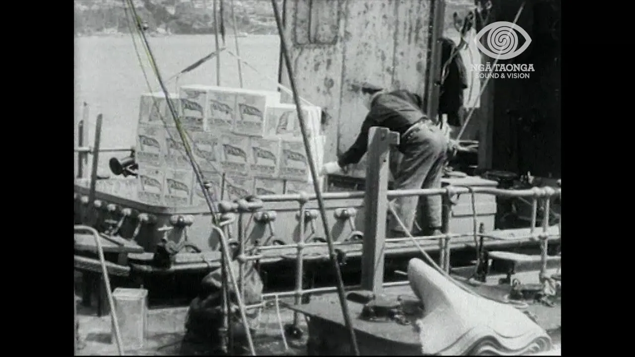 THE PETROLEUM INDUSTRY IN NEW ZEALAND