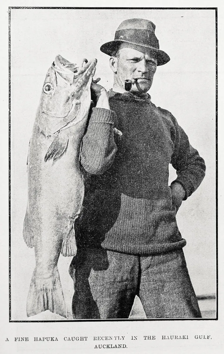A fine hapuka caught recently in the Hauraki Gulf, Auckland