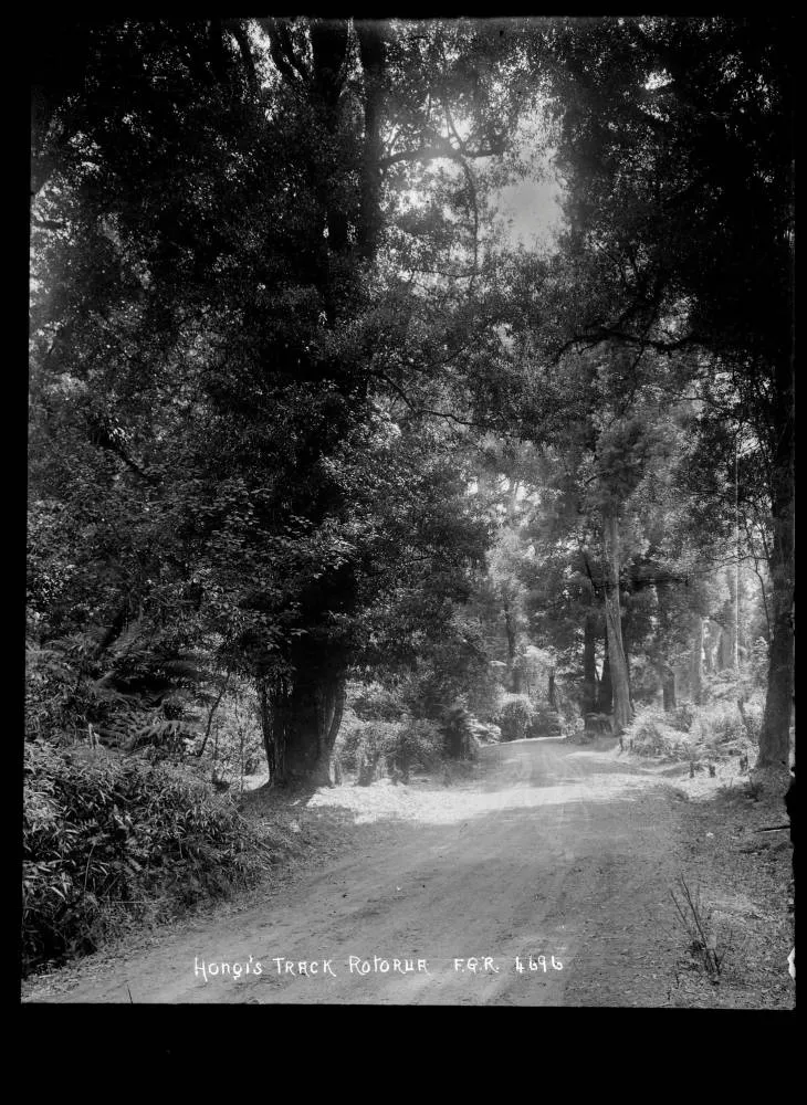 Hongi's Track, Rotorua