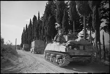 Image: New Zealand transport and tank moving along tree lined road towards Florence, Italy, World War II - Photograph taken by George Kaye