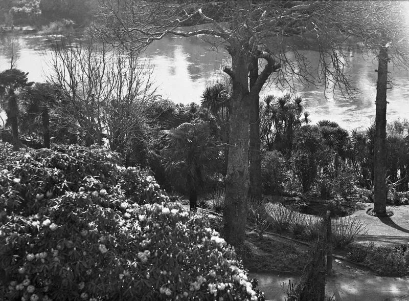 Hamilton Hotel gardens