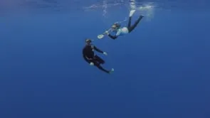 Riley finds humpback whales!