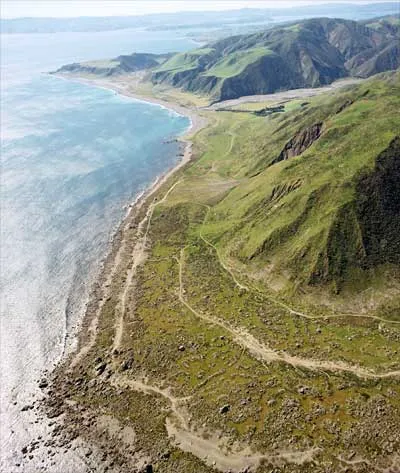 Raised beaches, Turakirae Head