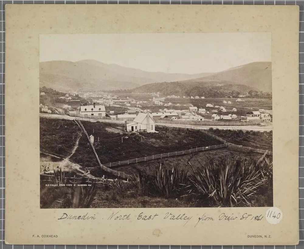 North East Valley from View Street, Dunedin