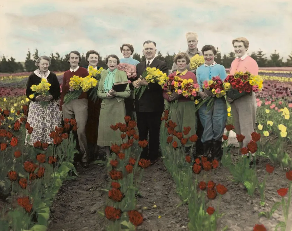 Prime minister Sidney Holland with group on tulip farm, Waimate