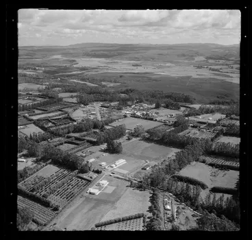 Image: Kerikeri, Northland