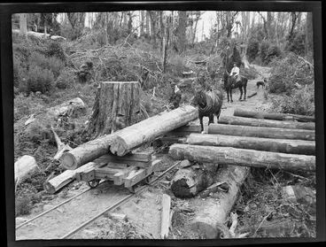 Image: A draught horse and unidentified forestry workmen loading logs on to a rail carriage bound for the mill within an unknown forest location, Kakahi District, Manawatu-Whanganui Region