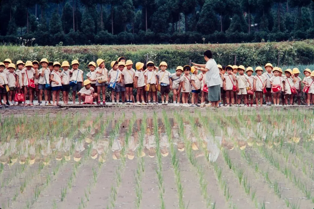 Japan Series: Rice Planting