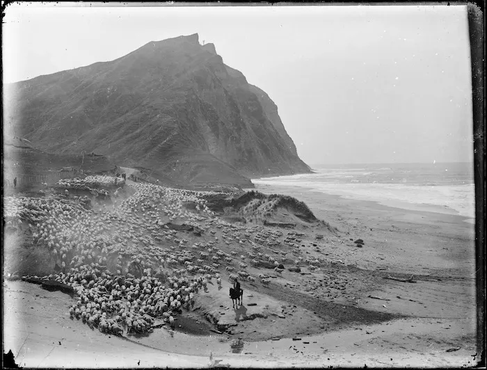 Loisel's Beach (also known as Waihau Beach), East Coast