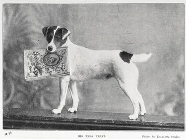 Image: His Xmas treat