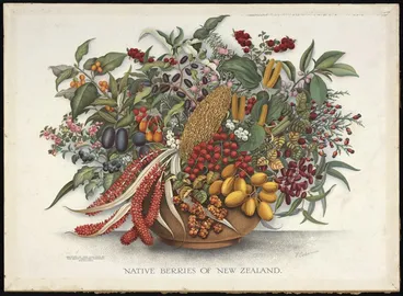 Image: Osborne, Fanny, 1852-1933 :Native berries of New Zealand / F. Osborne. Auckland; printed by the Brett Printing Company [1913]