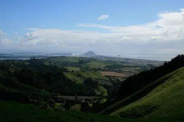 Image: Pāpāmoa