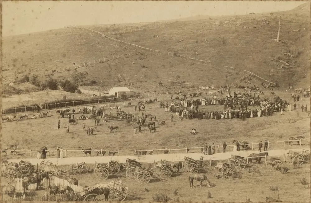 Otago Peninsula A. and P. show