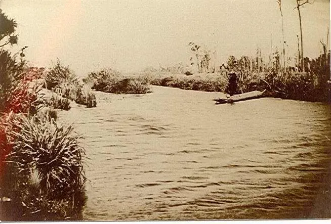 Hokio Stream and eel weir