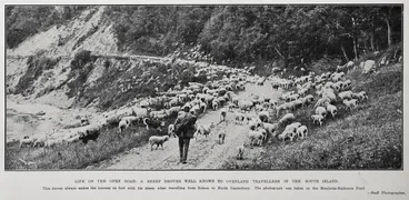 Image: Life on the Open Road: A Sheep Drover Well Known To Overland Travellers in the South Island