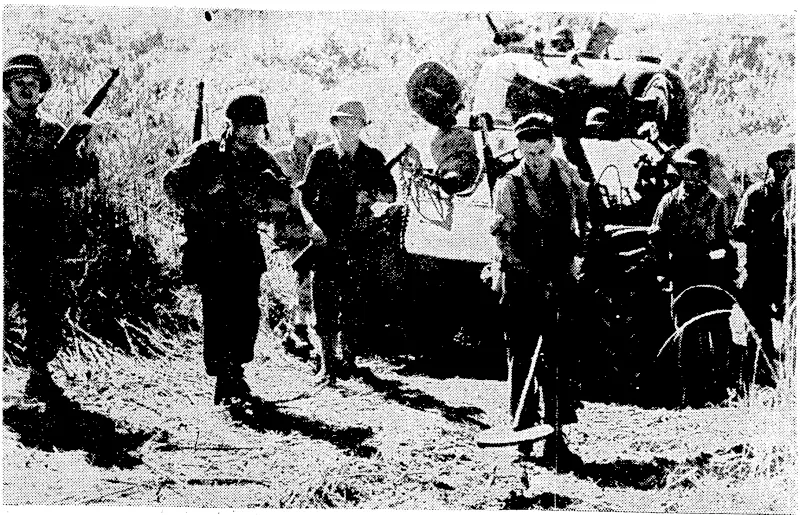 An engineer with a mine-detector walking in front of a Sherman tank in an American armoured column moving forward along the highway between Pinamopoan and Ormoc, a jew minutes before the assault on a Japanese resistance pocket on Breakneck Ridge. The bloody battle for the ridge had already lasted five days. (Evening Post, 06 December 1944)
