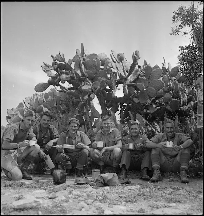 Men enjoying a meal among cactus in Tunisia, World War II - Photograph taken by M D Elias
