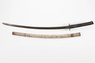 katana, sword