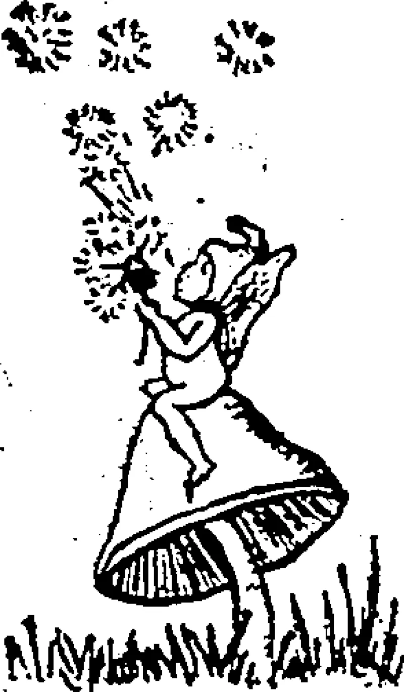 Untitled Illustration (Evening Post, 17 December 1929)