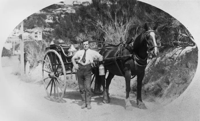 Milkman, Karori, Wellington