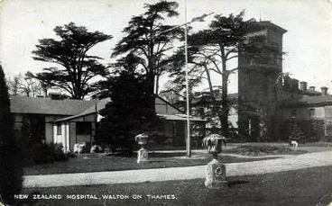 Image: New Zealand Hospital, Walton-on-Thames : postcard