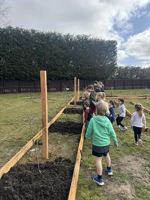 Inspecting the new trees