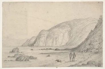 Image: Swainson, William, 1789-1855 :So[uth] Eastern Bay. Road to Wellington. N. Zd. 1846.