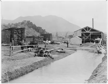 Image: Maori group and timber mill, Panguru