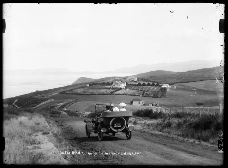 On the Road to Waikōwhai Park, Auckland