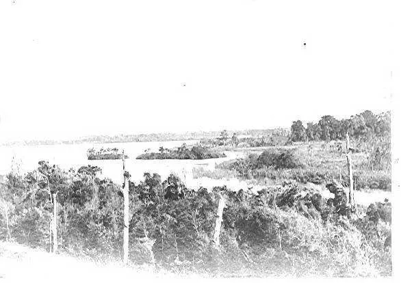 Lake Horowhenua - showing islands